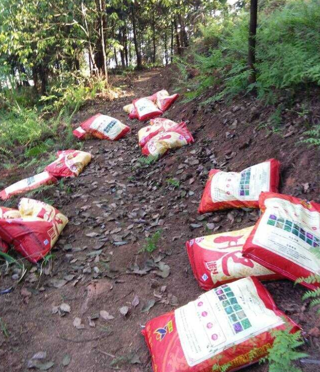 石城山工区施底肥，，，，，，苗木修剪及栽植.png